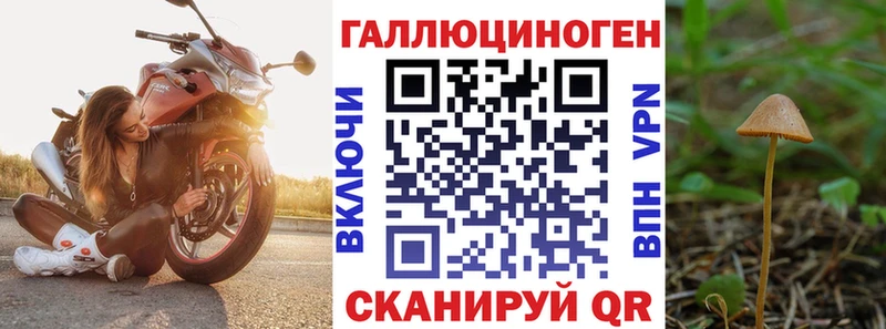 сколько стоит  Заречный  Псилоцибиновые грибы GOLDEN TEACHER 